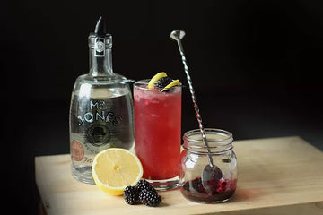Vodka Blackberry Cocktail